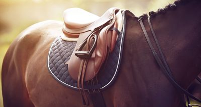 Scientist creates saddle-map to reduce horse back pain 