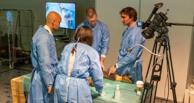 Practical sessions to return to BEVA Congress