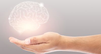 Study to review vet nurse mental health education