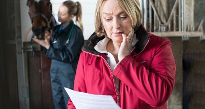 Gastric ulcers most common equine insurance claim, data shows