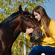 Owners prioritise horse care over themselves, survey reveals