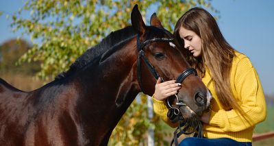 Owners prioritise horse care over themselves, survey reveals