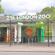London Zoo prepares for annual weigh-in