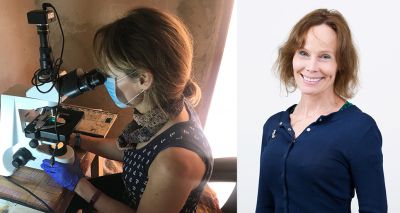 Parasites expert awarded Royal Society Medal