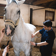 BEVA Unbridled sessions open equine work/life discussion