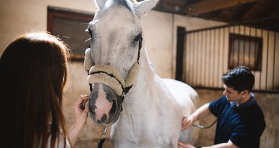 BEVA Unbridled sessions open equine work/life discussion