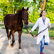 London International Horse Show CPD events announced