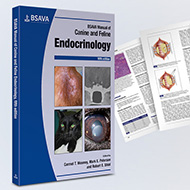BSAVA publishes new edition of endocrinology manual