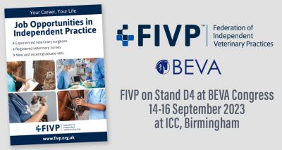 FIVP to attend BEVA Congress