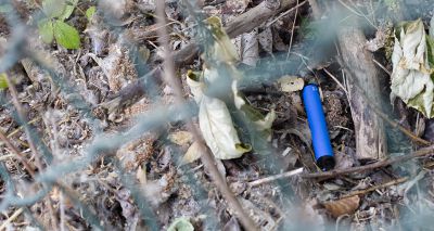RSPCA welcomes reports of disposable vape ban 