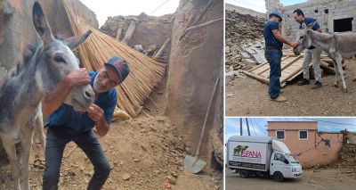 SPANA launches emergency response to Morocco earthquake