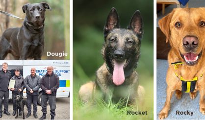 Rescue dog trio join police force