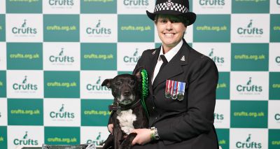 Nominations open for Kennel Club Hero Dog Award 2024