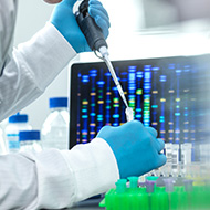Scientists identify bladder cancer genes in cats and dogs