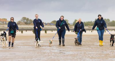 Battersea dogs enjoy enrichment visit to beach
