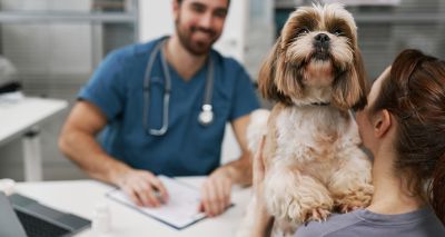 RCVS delays anti-parasitic 'under care' guidance