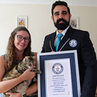 Cat breaks record with world's loudest purr