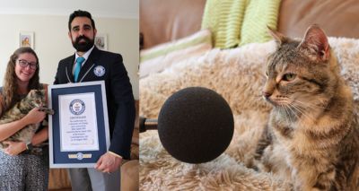 Cat breaks record with world's loudest purr