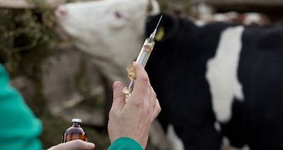 RUMA 2023 to address One Health in agriculture