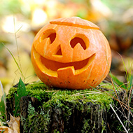 Don't dump pumpkins after Halloween, public urged