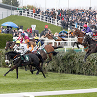 New Grand National rules limit race to 34 horses