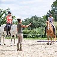 Workforce challenges impacting horse-riding centres