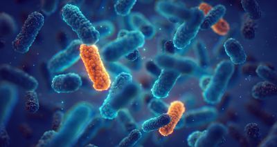 Rise in vets with AMR concerns about cascade