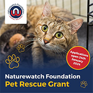 Naturewatch Foundation to launch Pet Rescue Grant