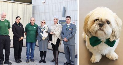 Crematorium welcomes comfort dog to team