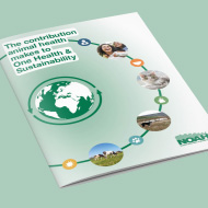 NOAH publishes report on One Health opportunities