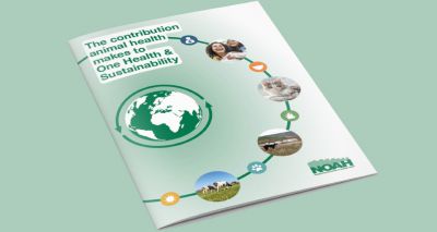 NOAH publishes report on One Health opportunities