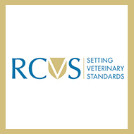 Three members elected to RCVS Fellowship Board