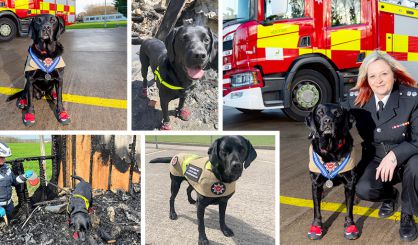 Fire investigation dog receives PDSA medal