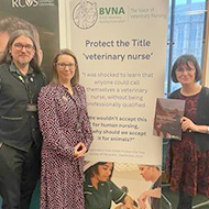 MPs hear about need to protect veterinary nurse title