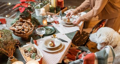 Kennel Club warns of toxic Christmas food for dogs