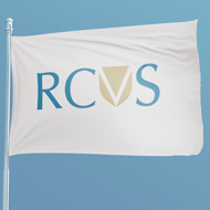 RCVS launches Surveys of the Professions 2024