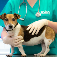 PDSA opens clinic in North London