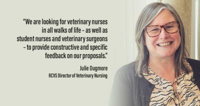 RCVS opens consultation on vet nurse training