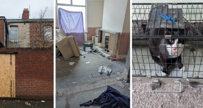 Cat rescued after two weeks in derelict house