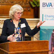 BVA urges reform of Veterinary Surgeons Act