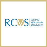 RCVS Council elects new junior vice-president