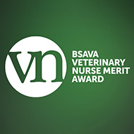 Veterinary Nursing Awareness Month set to return