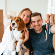 Pet rights for renters included in Scottish housing bill