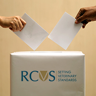 Two positions open on RCVS Fellowship Board