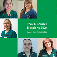 BVNA Council election candidates announced