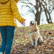 Blue Cross launches new Big Pet Census