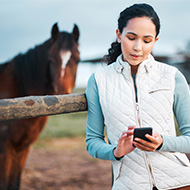 MSPs asked to support online equine ID system