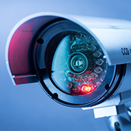 CCTV becomes mandatory in Welsh slaughterhouses