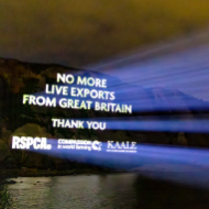 Export of live animals banned in Great Britain
