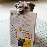 Dogs Trust launches this year's National Dog Survey